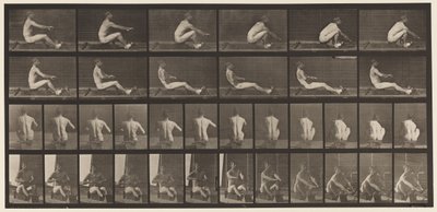 Tányér 328. Evezés alkotó: Eadweard Muybridge