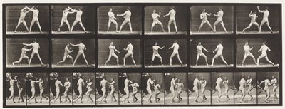 tábla 329. Ökölvívás; (Cipők) alkotó: Eadweard Muybridge