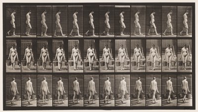 32. tábla. Séta, mindkét kezében egy vödör vizet cipelve alkotó: Eadweard Muybridge