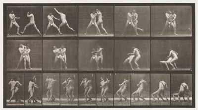 tábla 331. Ökölvívás; Állj meg a Cross-Buttocks alkotó: Eadweard Muybridge