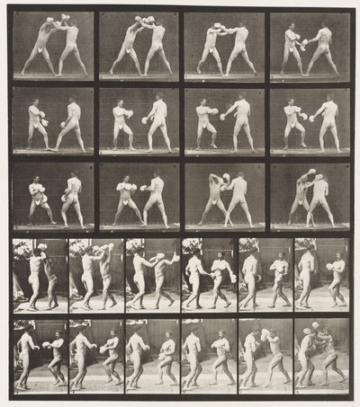 tábla 334. Ökölvívás; Kesztyűvel (cipő) alkotó: Eadweard Muybridge