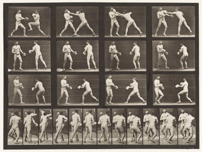 tábla 335. Ökölvívás; Kesztyűvel alkotó: Eadweard Muybridge