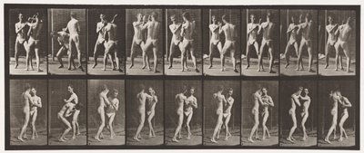 tábla 337. Ökölvívás; Nyitott kéz alkotó: Eadweard Muybridge
