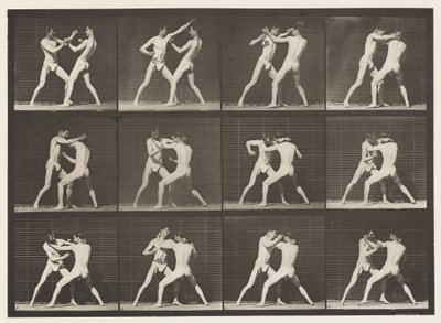 tábla 340. Ökölvívás; Nyitott kéz alkotó: Eadweard Muybridge