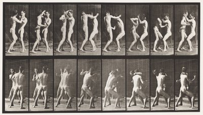 tábla 341. Ökölvívás; Nyitott kéz alkotó: Eadweard Muybridge