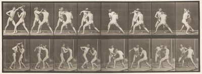 tábla 342. Ökölvívás; Nyitott kéz, 1872-1885 alkotó: Eadweard Muybridge