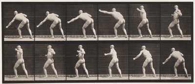 343. tábla. Ütés (bal kéz) alkotó: Eadweard Muybridge