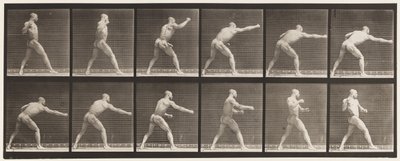 344. tábla. Ütés (jobb kéz) alkotó: Eadweard Muybridge