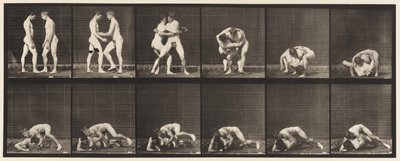 345. tábla. Birkózás, zár, 1885 alkotó: Eadweard Muybridge