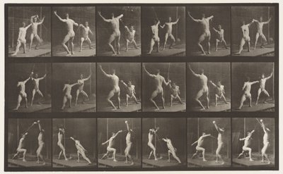 tábla 350. Vívás alkotó: Eadweard Muybridge
