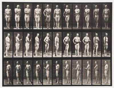 351. tábla. Fix és Unfix Bajonett, 1872-1885 alkotó: Eadweard Muybridge