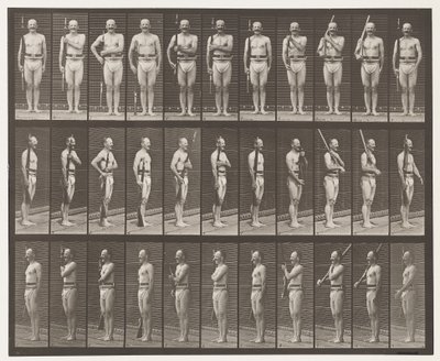 352. tábla. Váll, rend és hordozó karok alkotó: Eadweard Muybridge