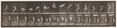 tábla 362. Hátsó szaltó alkotó: Eadweard Muybridge