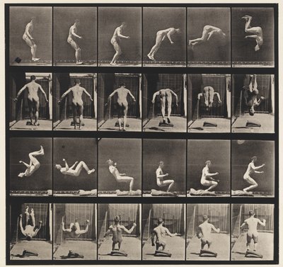 363. tábla. Futó szaltó, 1885 alkotó: Eadweard Muybridge