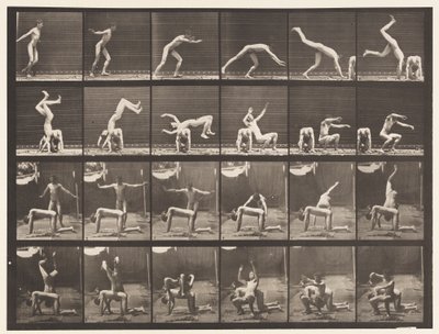 364. tábla. Kézrugó az ember hátán alkotó: Eadweard Muybridge