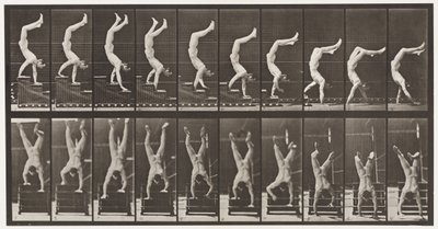 368. tábla. Acrobat, Descending Stairs on Hands alkotó: Eadweard Muybridge