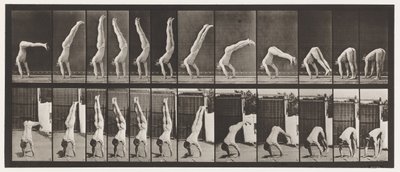 371. tábla. Acrobat, függőleges nyomás felfelé alkotó: Eadweard Muybridge