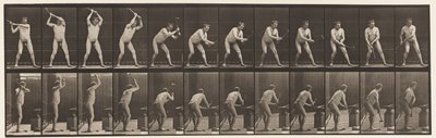 376. tábla. Kovács, Kalapácsolás üllőn, Két kéz, 1872-1885 alkotó: Eadweard Muybridge