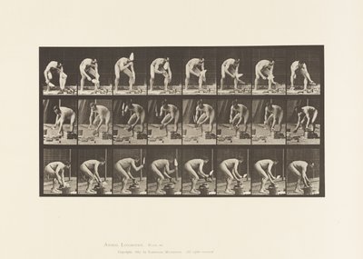 381. tábla. Kőműves, Téglarakás alkotó: Eadweard Muybridge