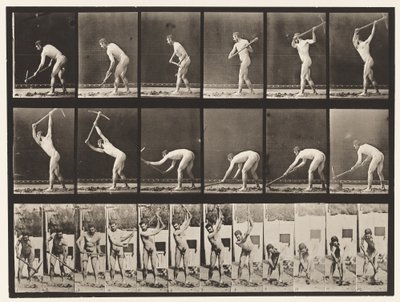 385. tábla. Gazda, csákány segítségével, 1872-1885 alkotó: Eadweard Muybridge