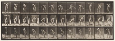 387. tábla. Gazda, hosszú nyelű lapáttal alkotó: Eadweard Muybridge