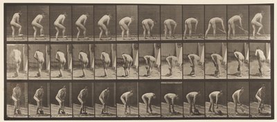 388. tábla. Farmer, ásóval, 1872-1885 alkotó: Eadweard Muybridge