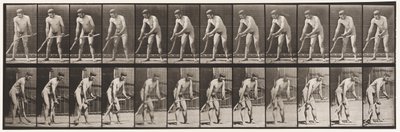 tábla 391. Gazda, fűnyírás alkotó: Eadweard Muybridge