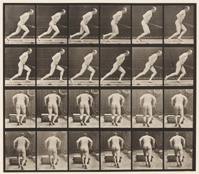 393. tábla Kerti hengert tolni, 1872-1885 alkotó: Eadweard Muybridge