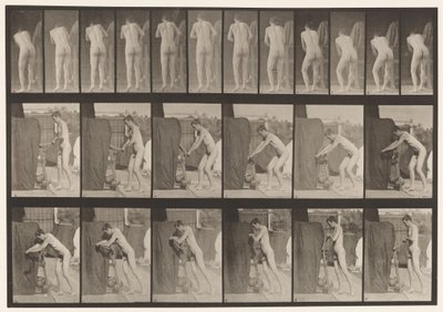 Tányér 394. Forgatókar forgatása alkotó: Eadweard Muybridge