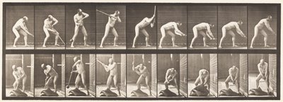 396. tányér. Kalapácsütés alkotó: Eadweard Muybridge