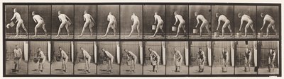 398. tábla. Egy vödör víz kiürítése, 1872-1885 alkotó: Eadweard Muybridge