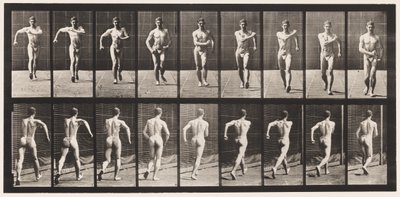 Tányér 3. Séta alkotó: Eadweard Muybridge