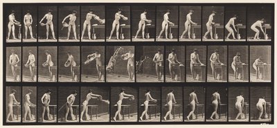402. tábla. Vízürítő medence alkotó: Eadweard Muybridge