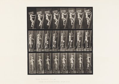 405. tábla. Téglakézzel fel a létrán, 1872-1885 alkotó: Eadweard Muybridge