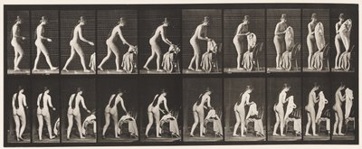 Tányér 415. WC, felkészülés a ruházatra alkotó: Eadweard Muybridge