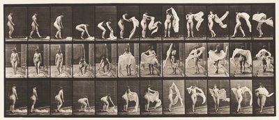 419-es tányér. WC, lehajlás, vállakra dobás alkotó: Eadweard Muybridge