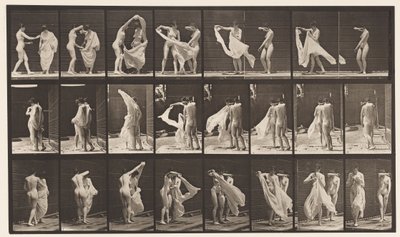 Tányér 429. WC; Két modell, 1 Disrobing 8, 1872-1885 alkotó: Eadweard Muybridge