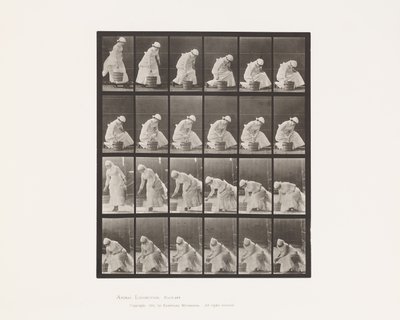438. tányér. Vödör lerakása és előkészítés a súrolásra, 1885 alkotó: Eadweard Muybridge