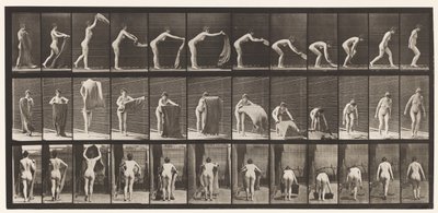 439. tábla. Szőnyeg terítése a padlón, 1872-1885 alkotó: Eadweard Muybridge