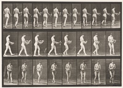 43. tábla. Séta, vízpermetezés a medencéből, megfordulás alkotó: Eadweard Muybridge