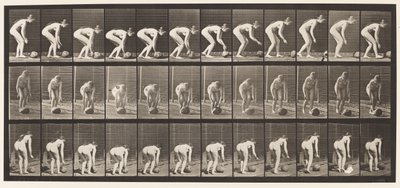 442. tábla. Lehajlás és kő gördülése a földön alkotó: Eadweard Muybridge