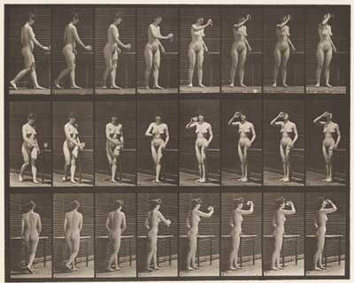 443. tányér. Serlegből ivás állva alkotó: Eadweard Muybridge