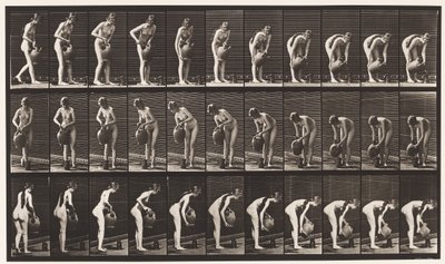 446. tányér. Töltőkancsó a földön Víz-edényből alkotó: Eadweard Muybridge