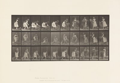 458. tányér. Marék széna felemelése, megfordítása, ledobása alkotó: Eadweard Muybridge