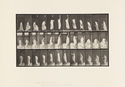 459. tábla. Székre lépés, felnyúlás és leszállás, 1885 alkotó: Eadweard Muybridge