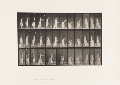 463. tábla. Felnyúlás, lehajlás és megfordulás, 1885 alkotó: Eadweard Muybridge