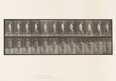467. tábla.Gyermek, Séta, 1885 alkotó: Eadweard Muybridge