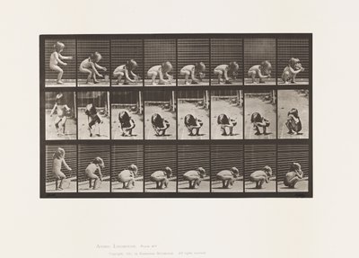 477. tányér. Gyermek, hajlongás, serlegemelés és ivás alkotó: Eadweard Muybridge