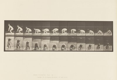 479. tábla. Gyermek, felkelés a földről alkotó: Eadweard Muybridge