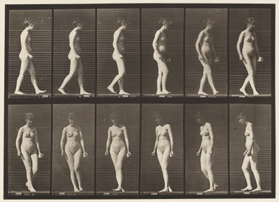 47. tábla. Séta és megfordulás alkotó: Eadweard Muybridge